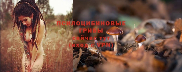 спиды Михайлов