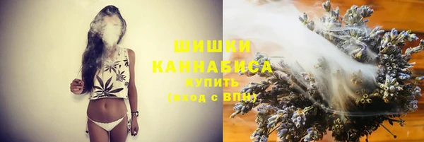 прущие крисы Надым