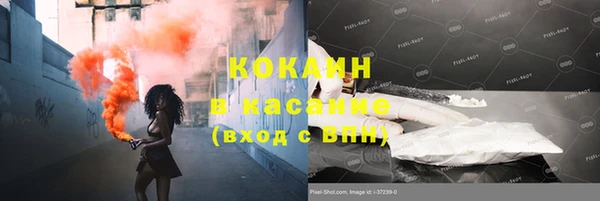 круглые Пересвет